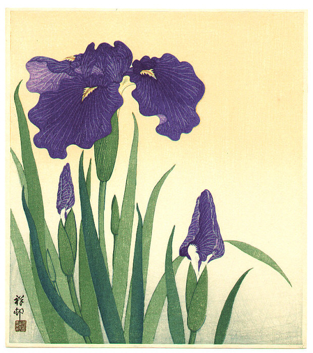 Ohara Koson - Flowering iris