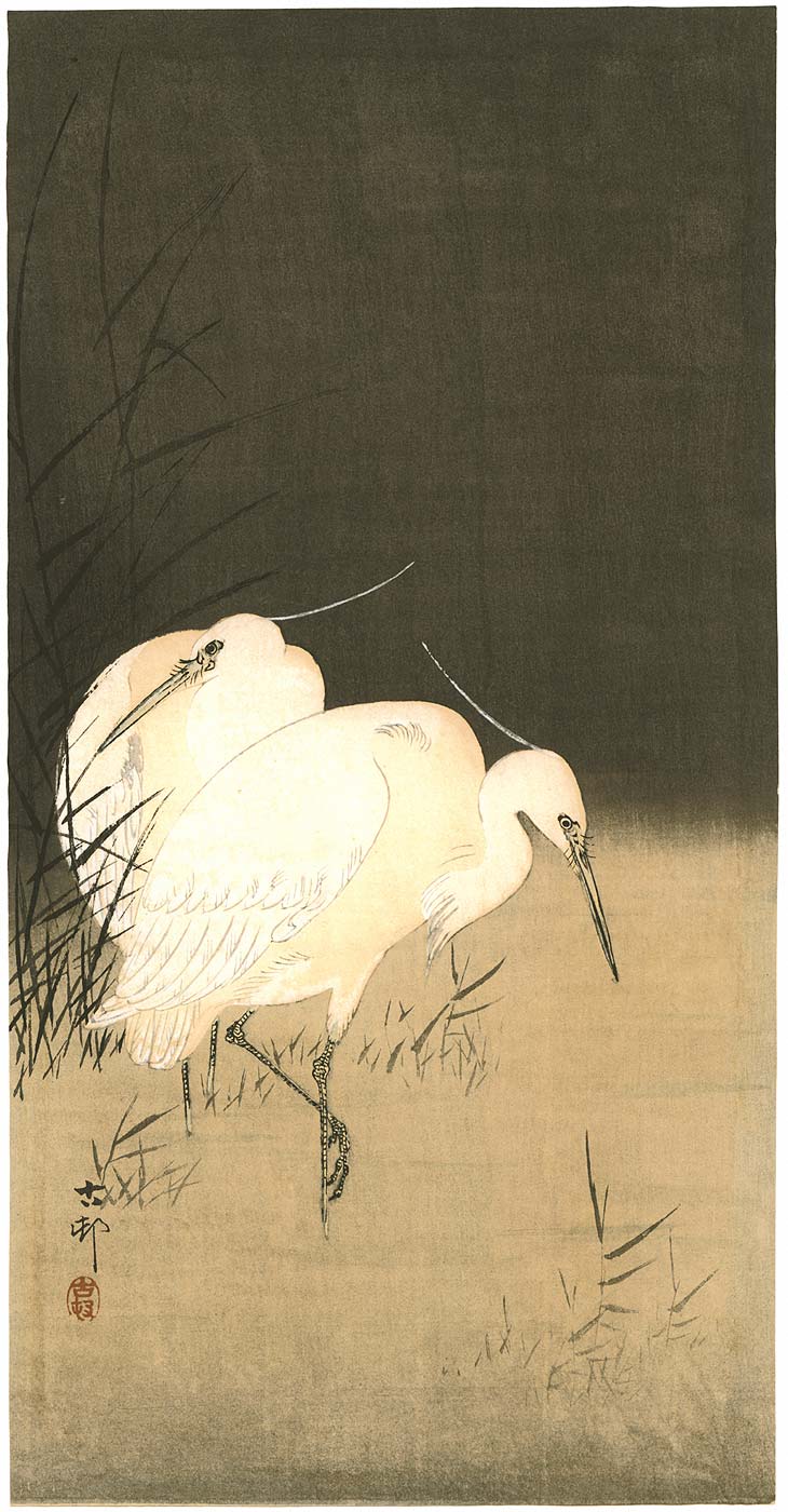 Ohara Koson - Two Egrets at Night