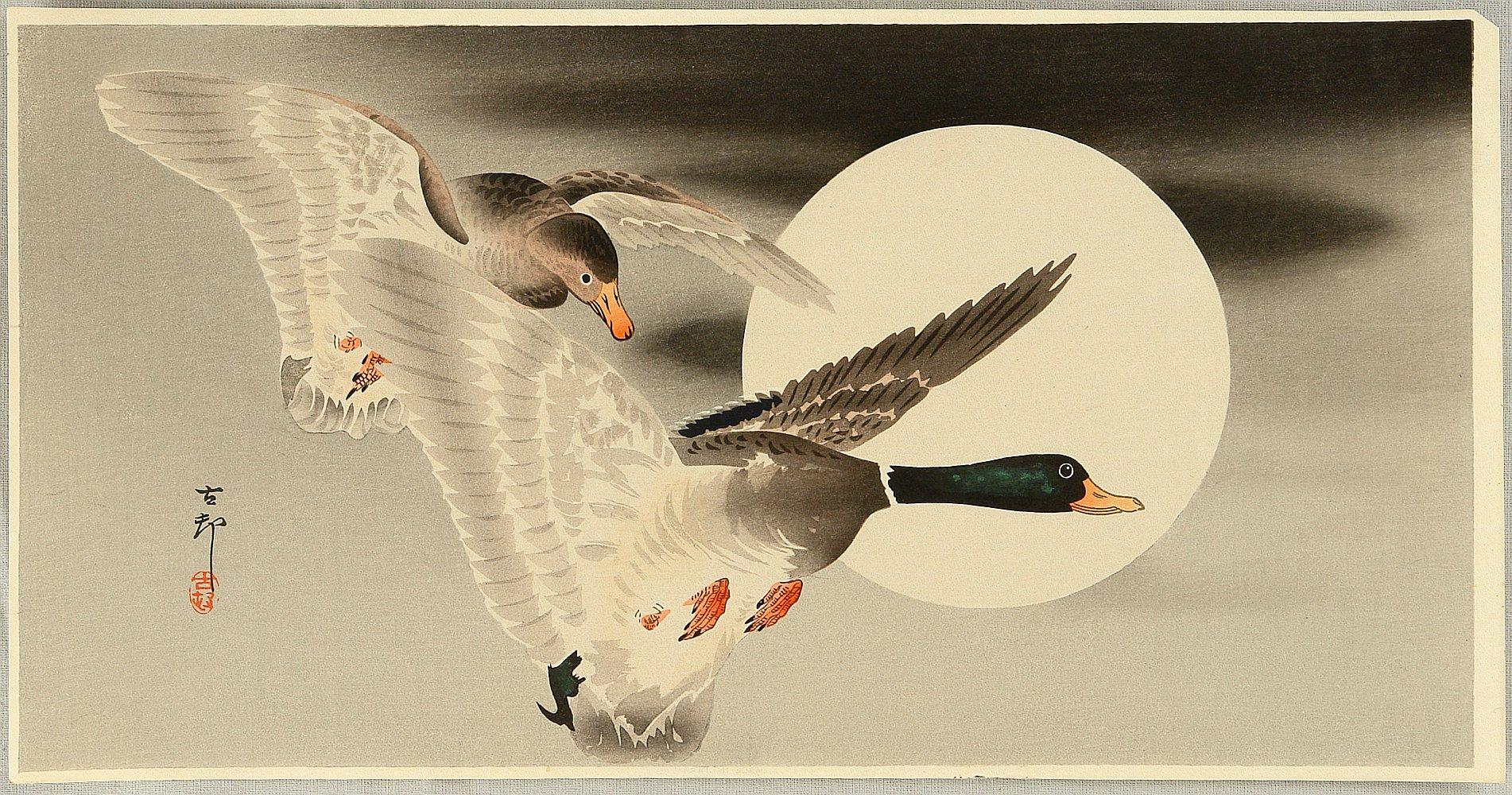 Ohara Koson - Two Mallard Ducks and the Moon