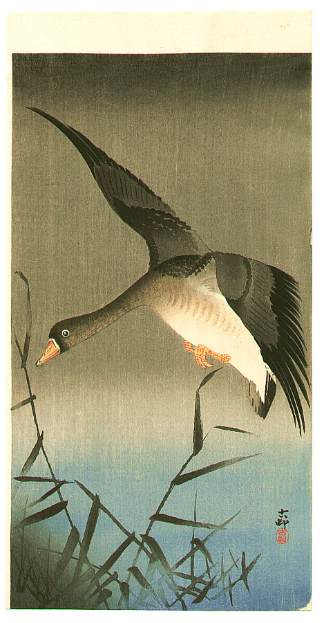 Ohara Koson - White-fronted Goose