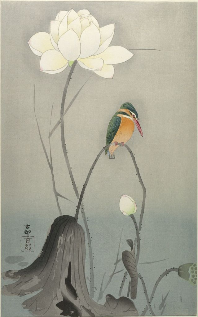 Ohara Koson - Kingfisher with Lotus Flower, Shôwa period, early to mid 20th century