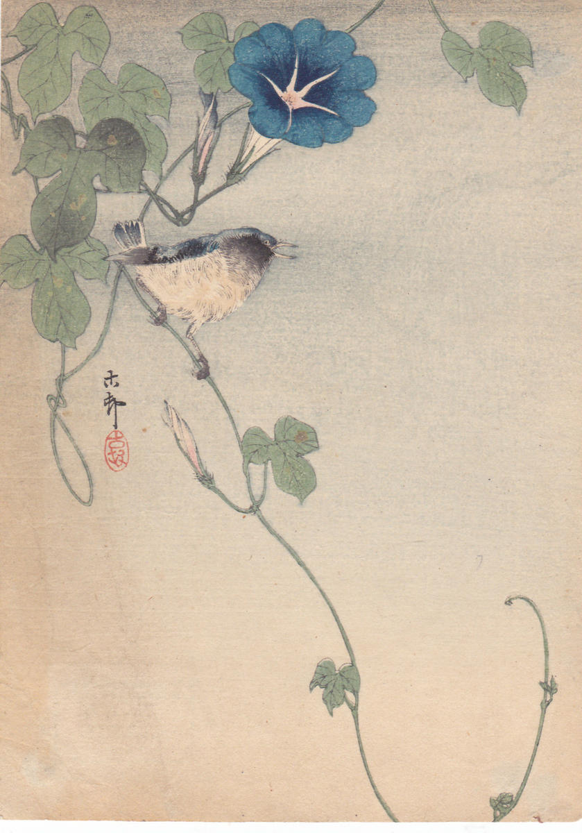 Ohara Koson - Finch and Morning Glory