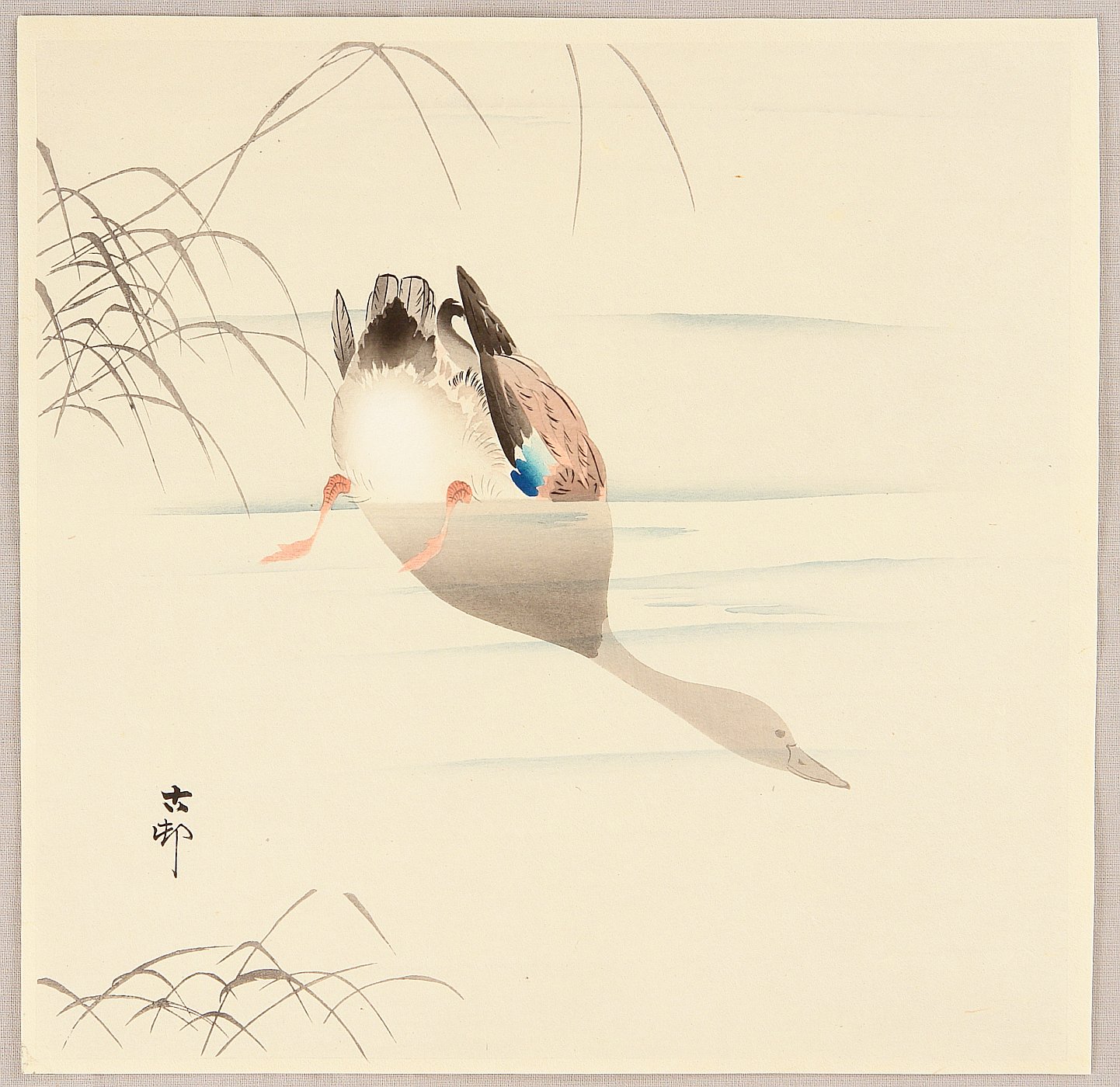 Ohara Koson - Diving Mallard