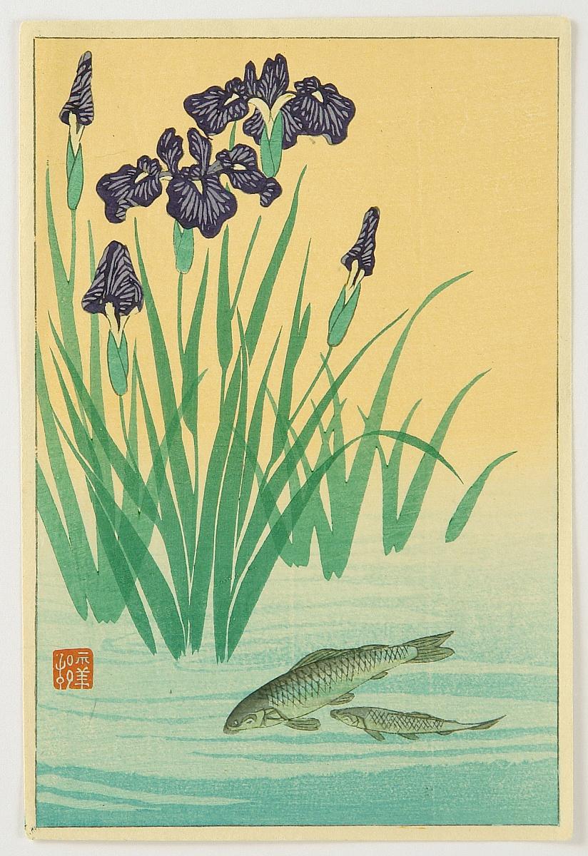 Ohara Koson - Carp and Iris