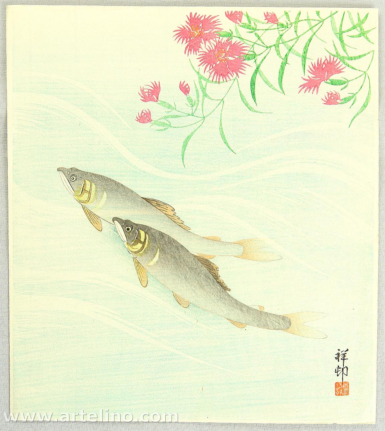 Ohara Koson - Trouts and Wild Pink