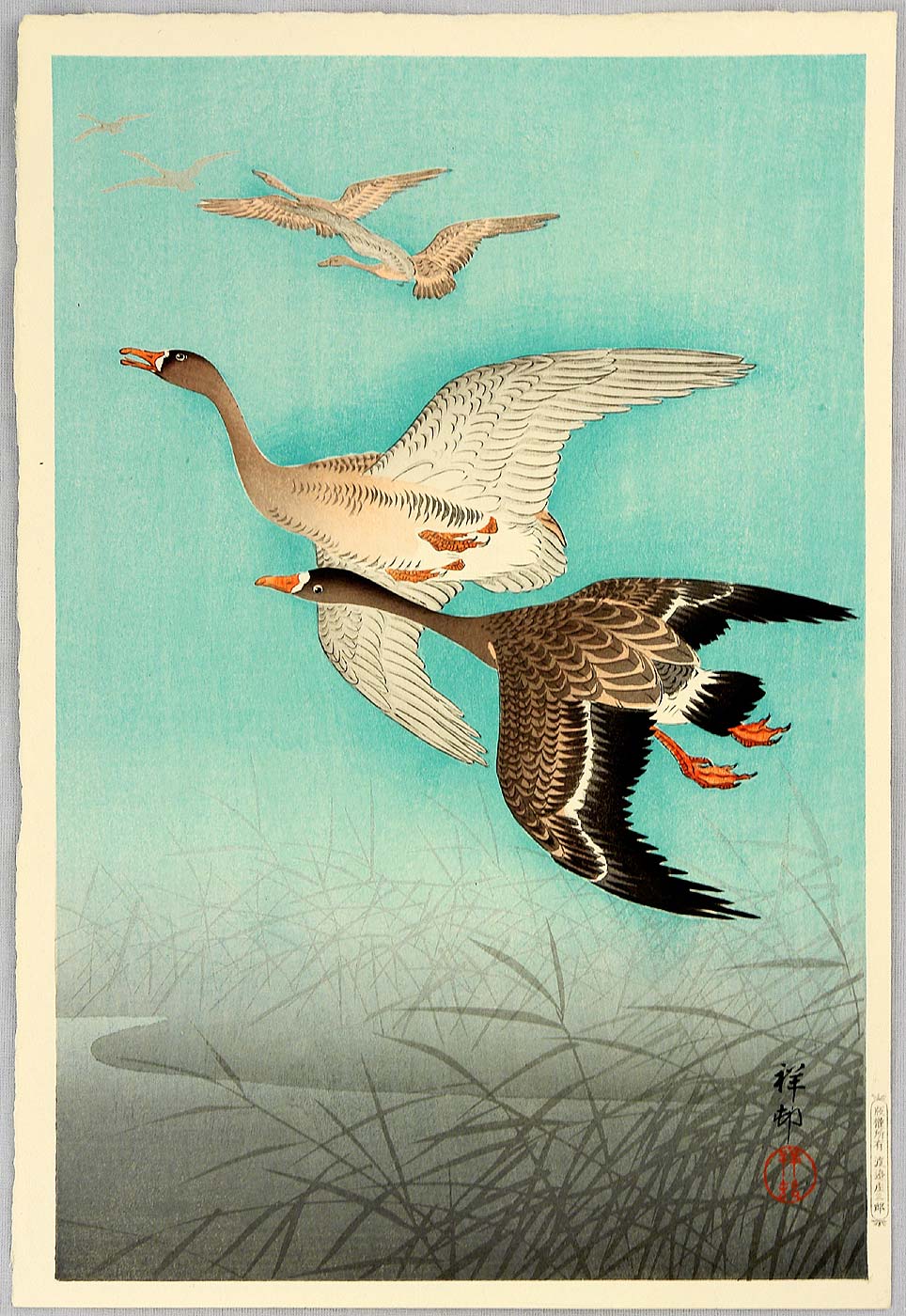 Ohara Koson - Flock of Geese