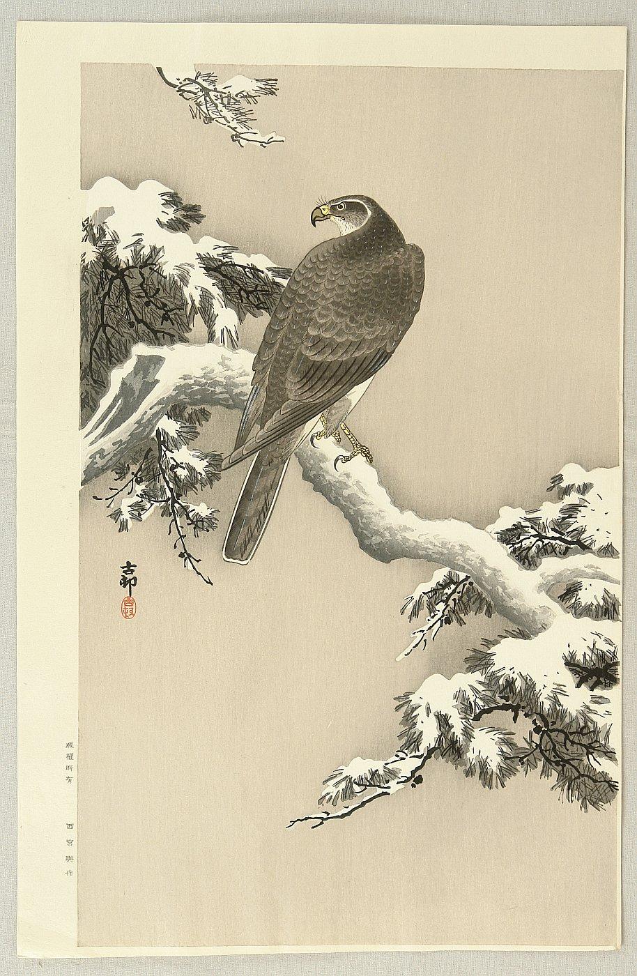 Ohara Koson - Goshawk on a Snow Covered Pine Branch