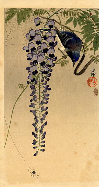 Ohara Koson - Flycatcher and Wisteria