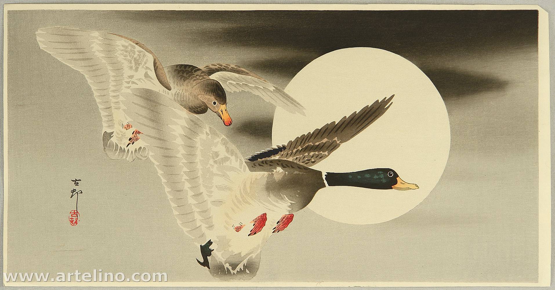 Ohara Koson - Two Mallard Ducks and the Moon