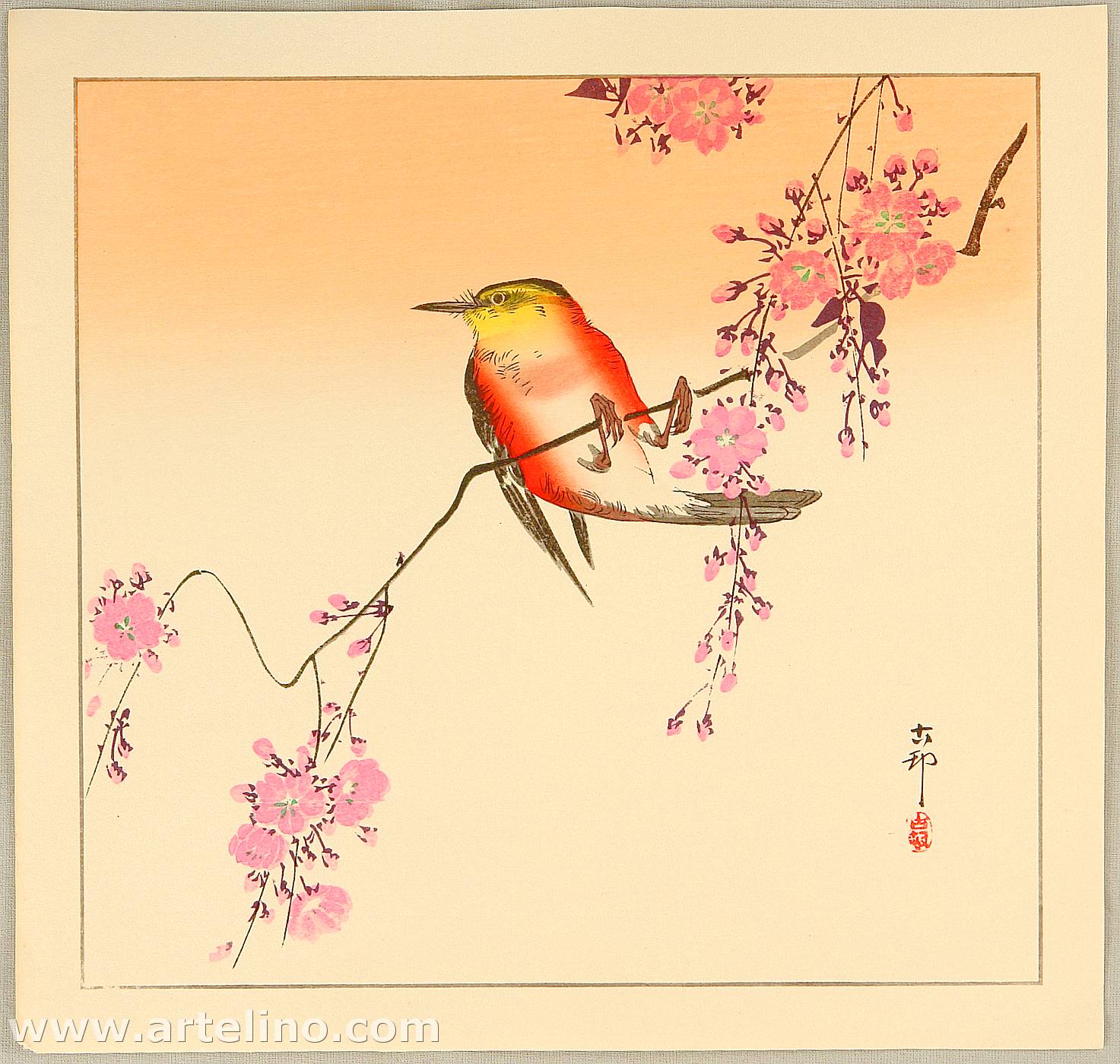 Ohara Koson - Red Bird and Cherry Blossoms