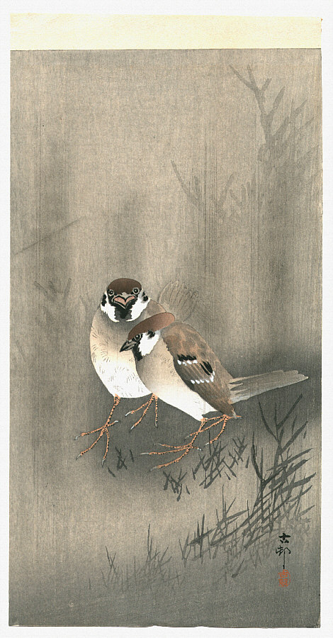 Ohara Koson - Two Sparrows