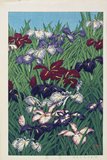 Hasui Kawase - Irises