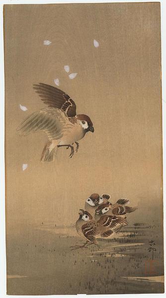 Ohara Koson - Sparrow and chicks