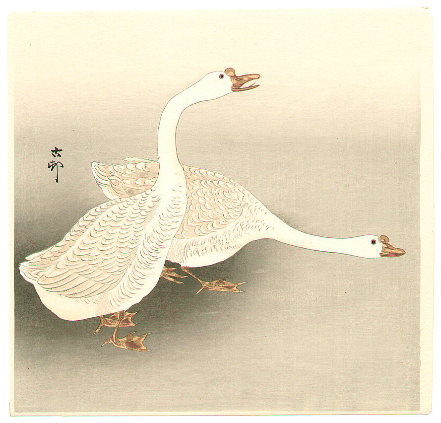 Ohara Koson - Two Ducks