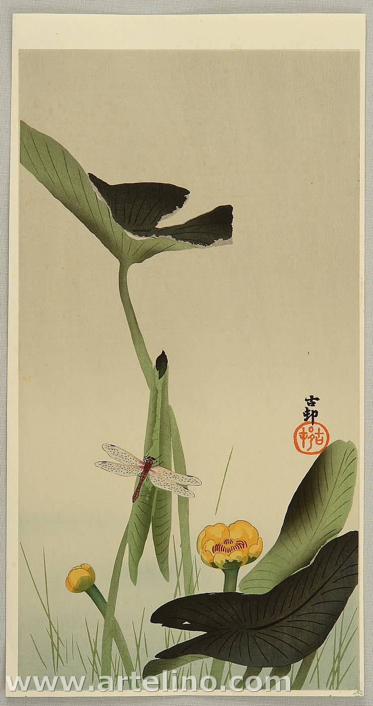 Ohara Koson - Dragonfly and Lotus