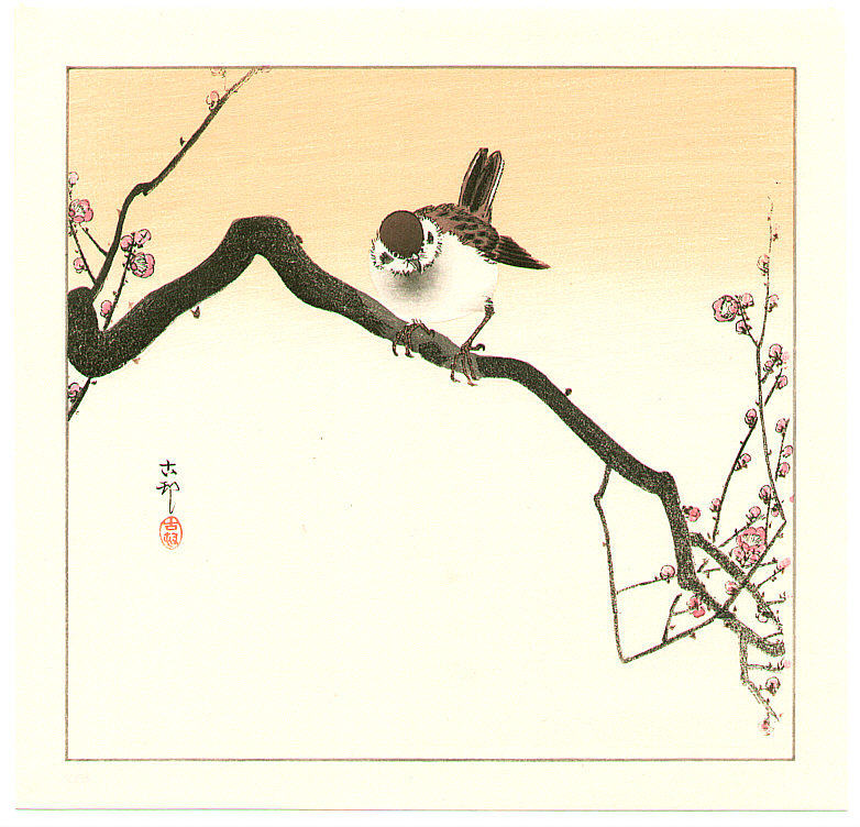 Ohara Koson - Sparrow on Plum Branch