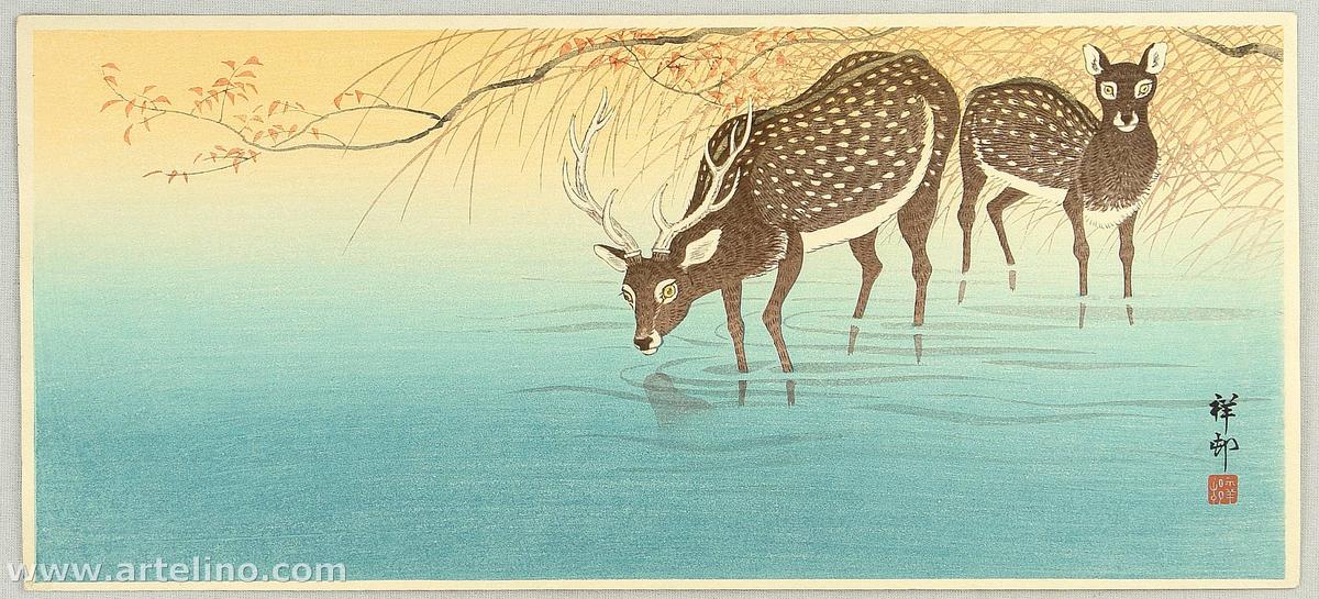 Ohara Koson - Deer in Shallow Water