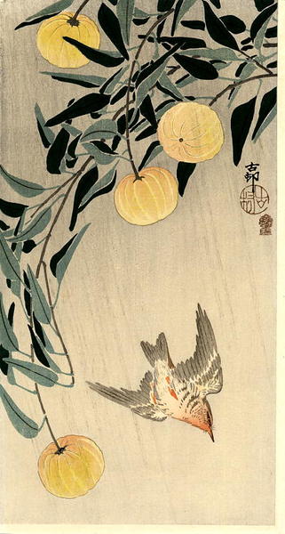 Ohara Koson - Cuckoo