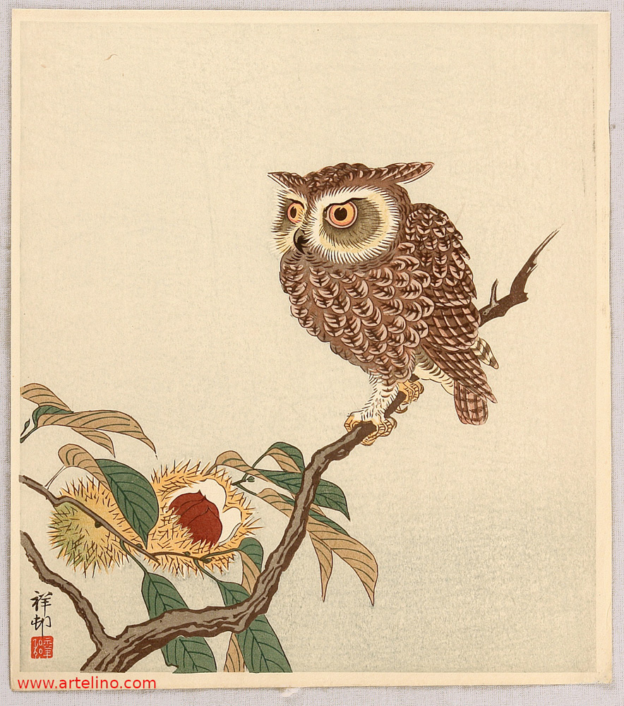 Ohara Koson - Owl and Chestnut