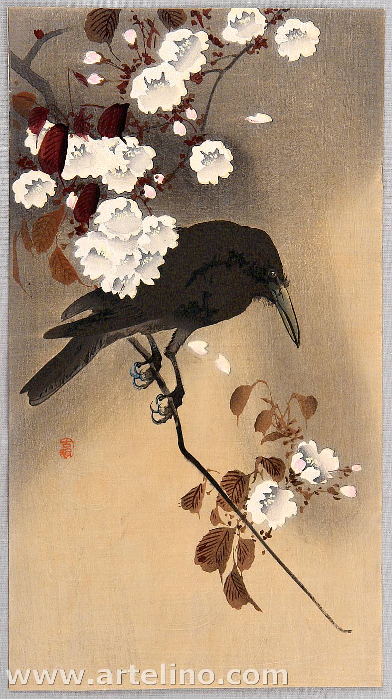 Ohara Koson - Crow and Cherry Blossoms