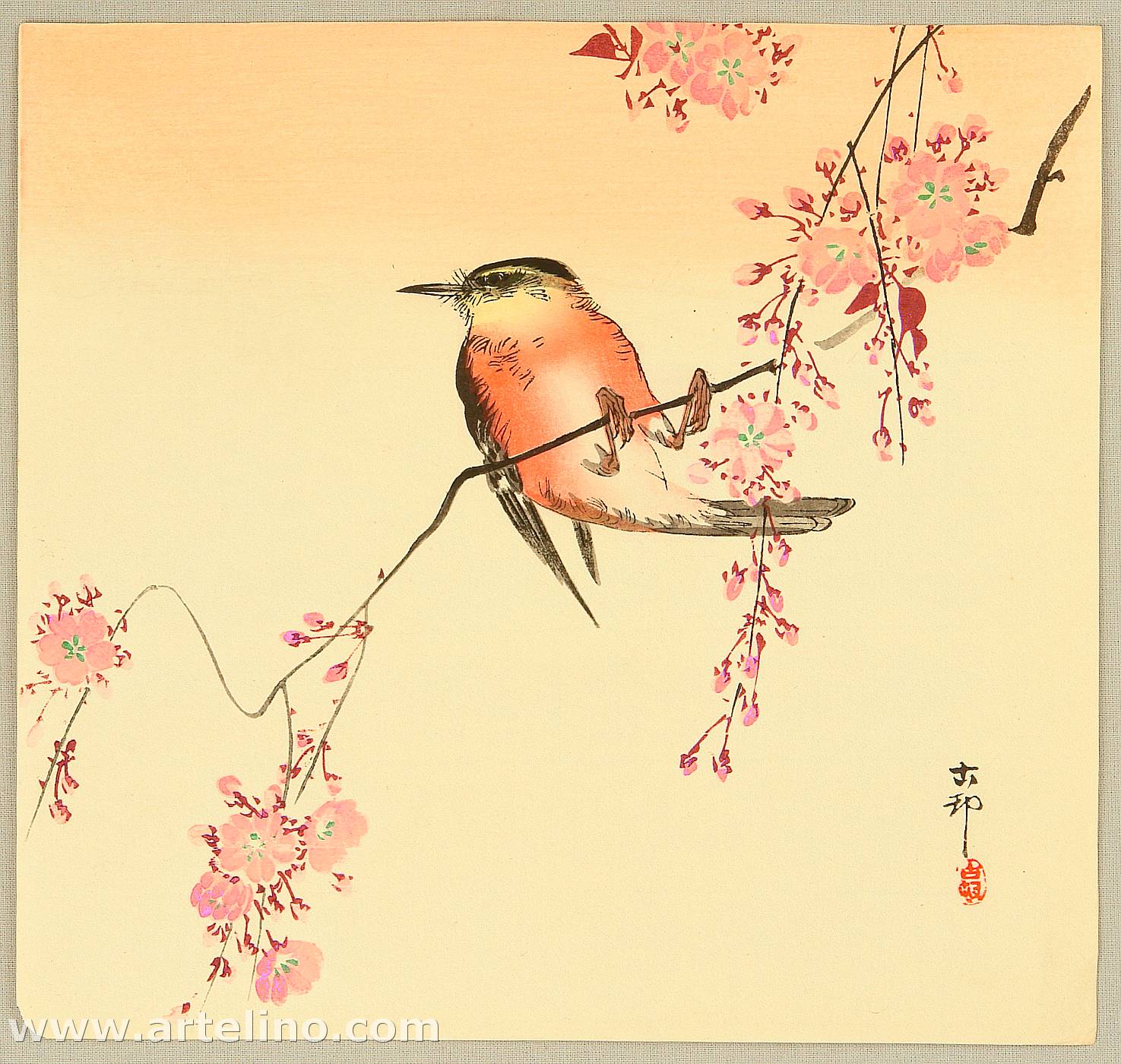 Ohara Koson - Orange Bird and Cherry Blossoms