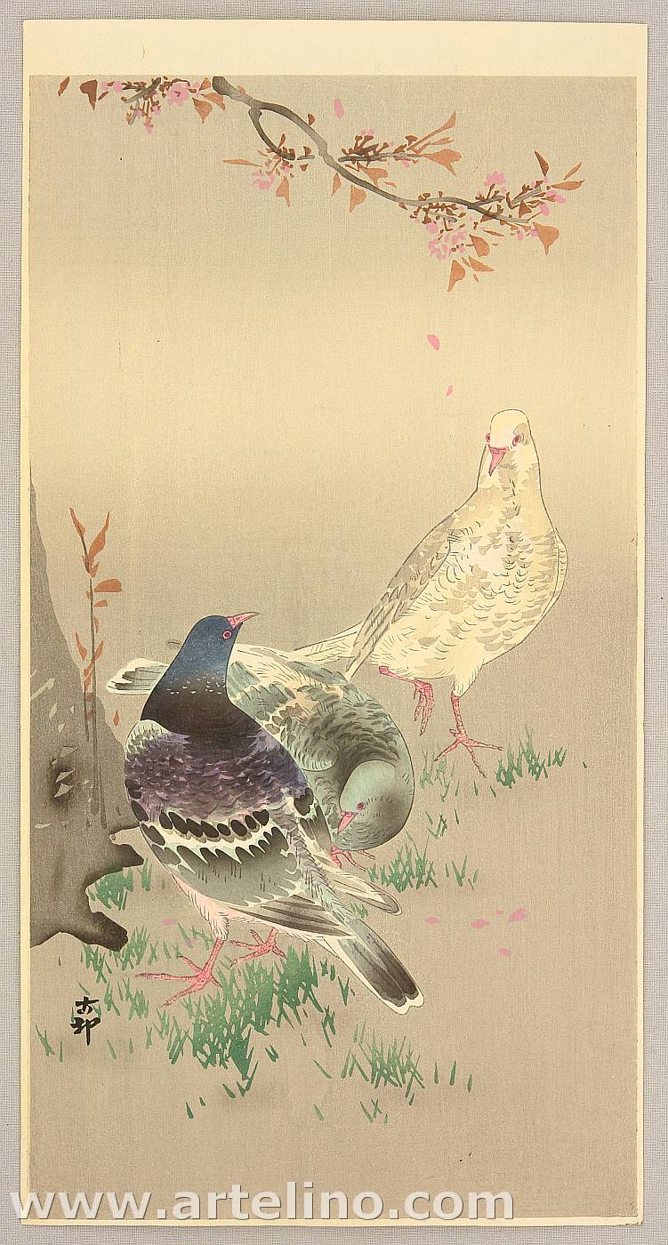 Ohara Koson - Pigeons under Cherry Tree