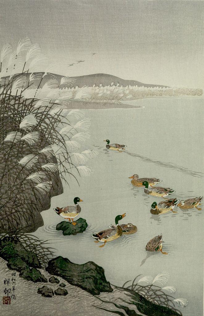 Ohara Koson - Ducks Swimming under Lakeside Reeds, Shôwa period, dated to 1931