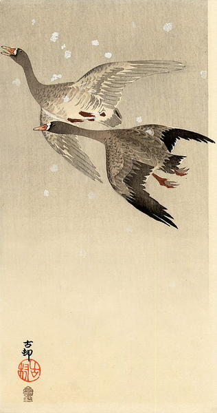 Ohara Koson - Geese flying in snow