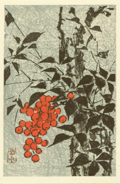 Hasui Kawase - Unknown, berries, plant