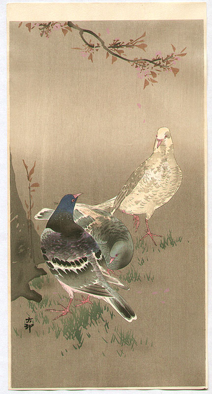 Ohara Koson - Pigeons under Cherry Tree