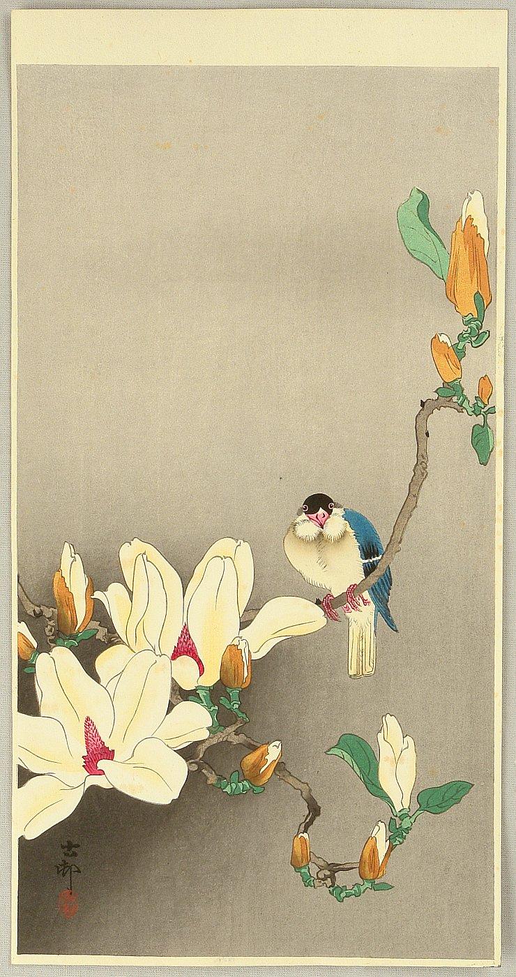 Ohara Koson - Blue Bird and Magnolia