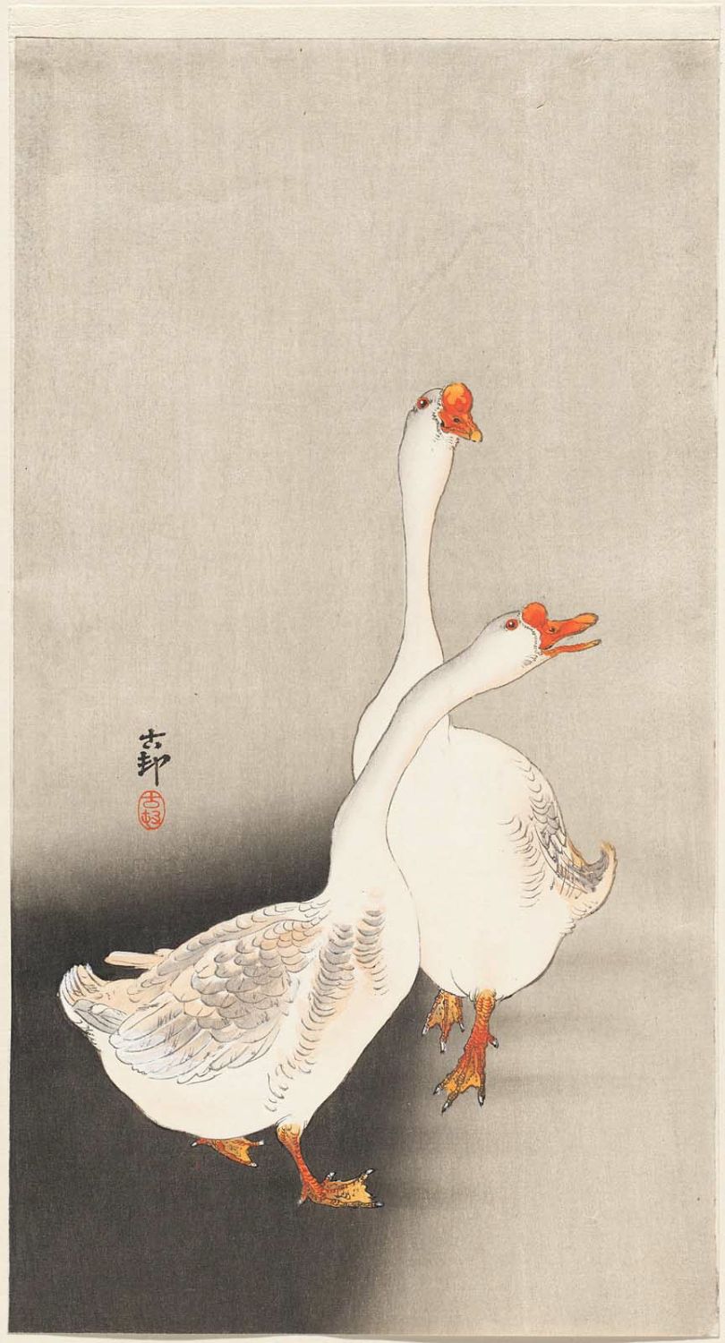 Ohara Koson - Two white geese