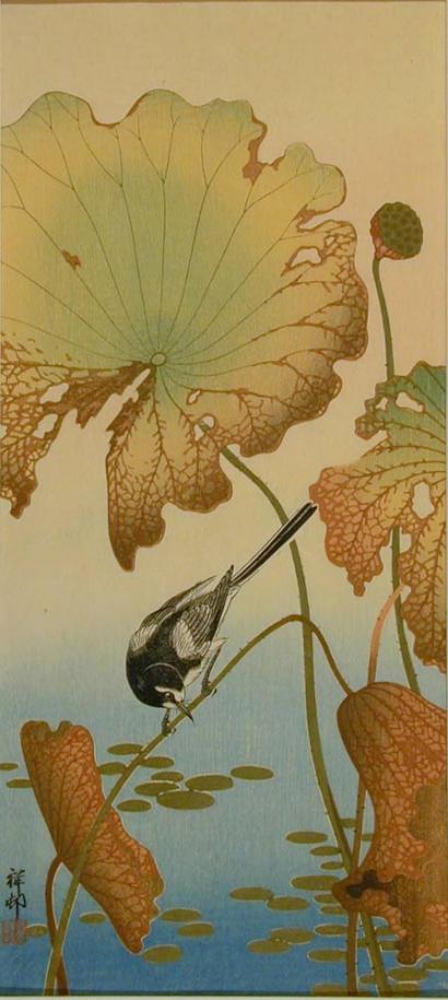 Ohara Koson - Wagtail and Lotus