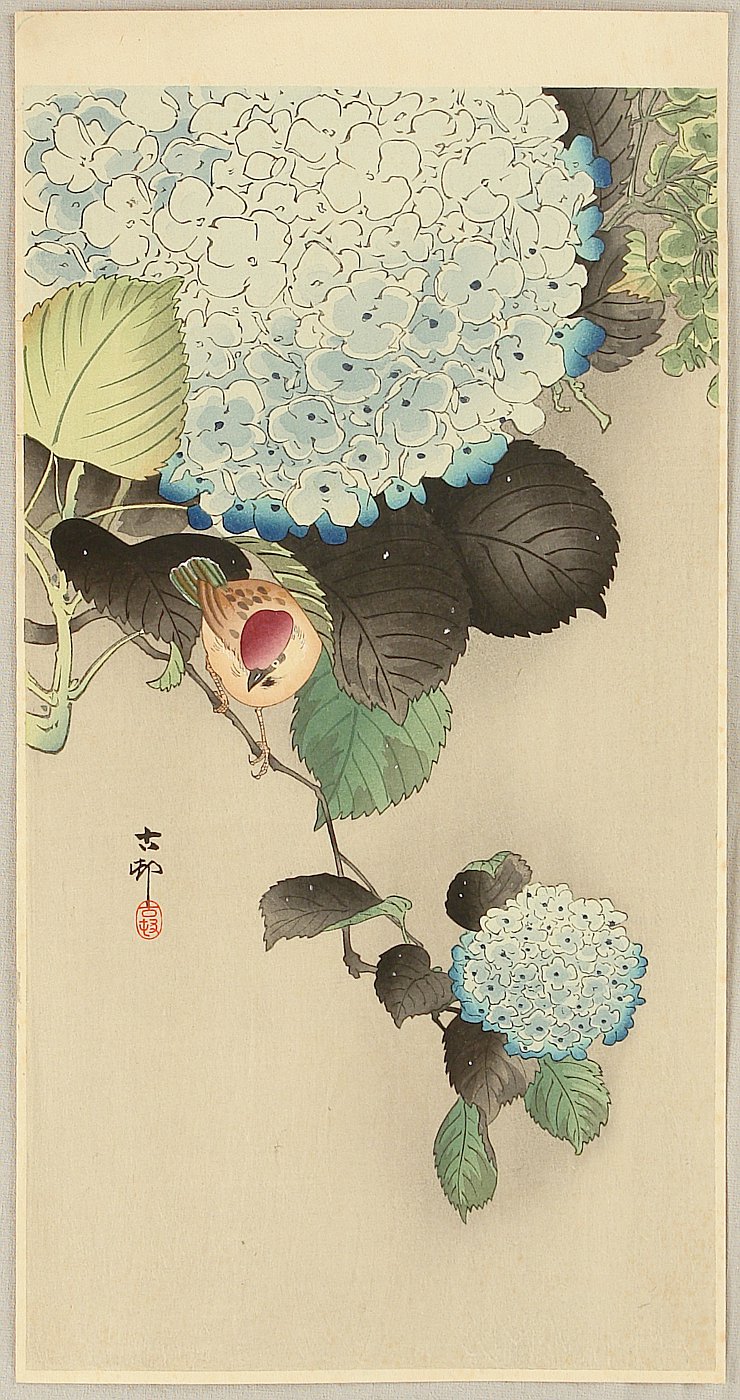 Ohara Koson - Sparrow on Hydrangea