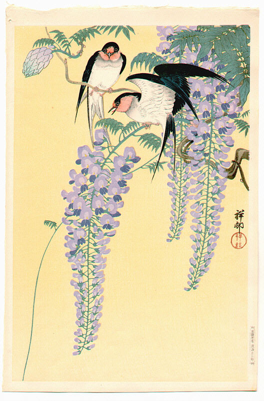 Ohara Koson - Birds and Wisteria (Pre WWII)