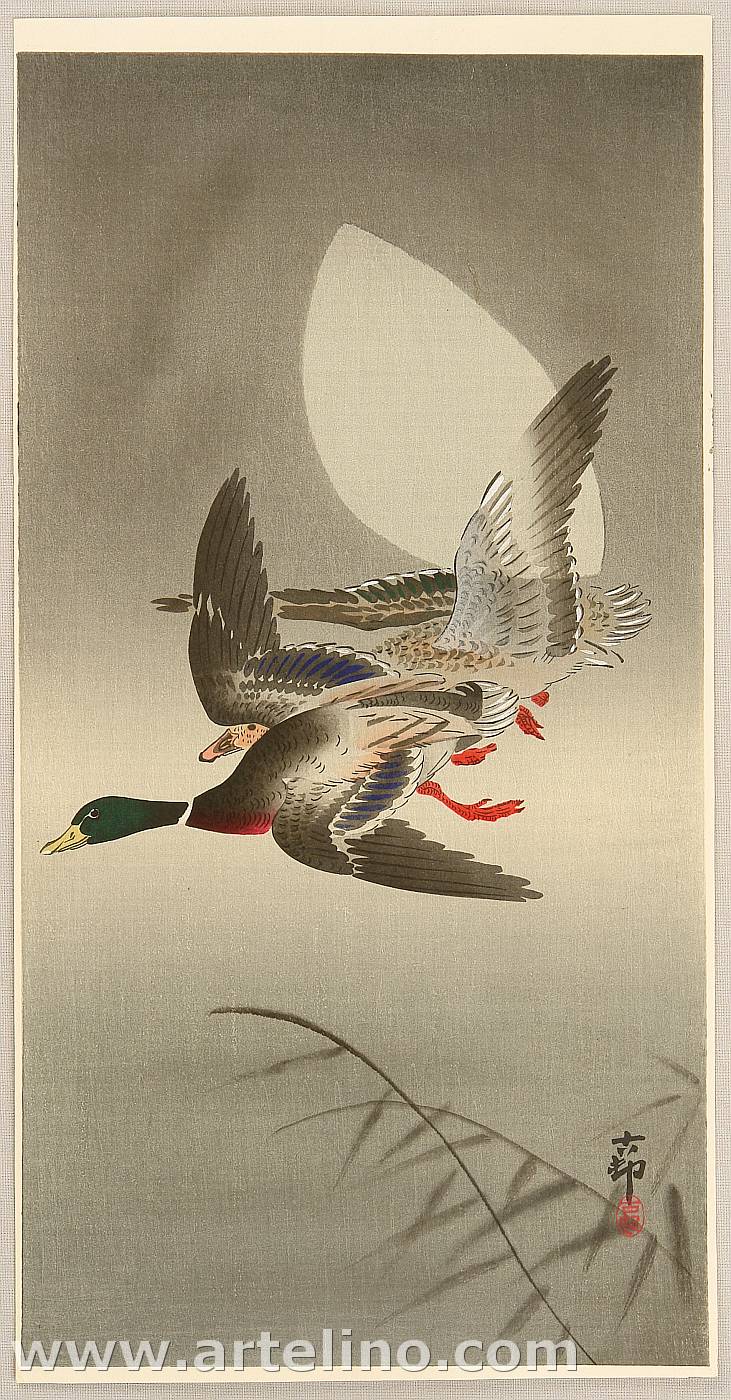 Ohara Koson - Two Mallards