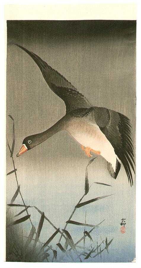 Ohara Koson - White-fronted Goose