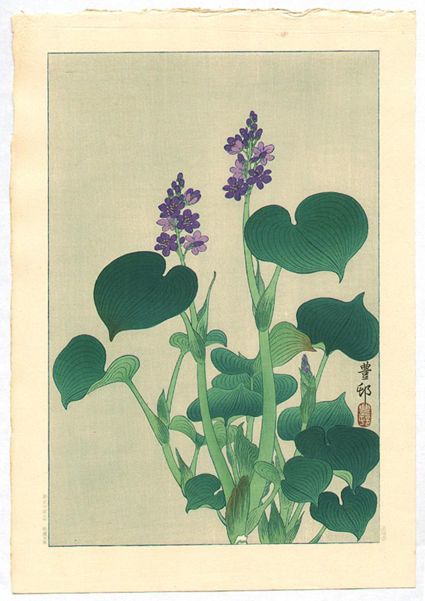 Ohara Koson - Purple Flowering Hosta