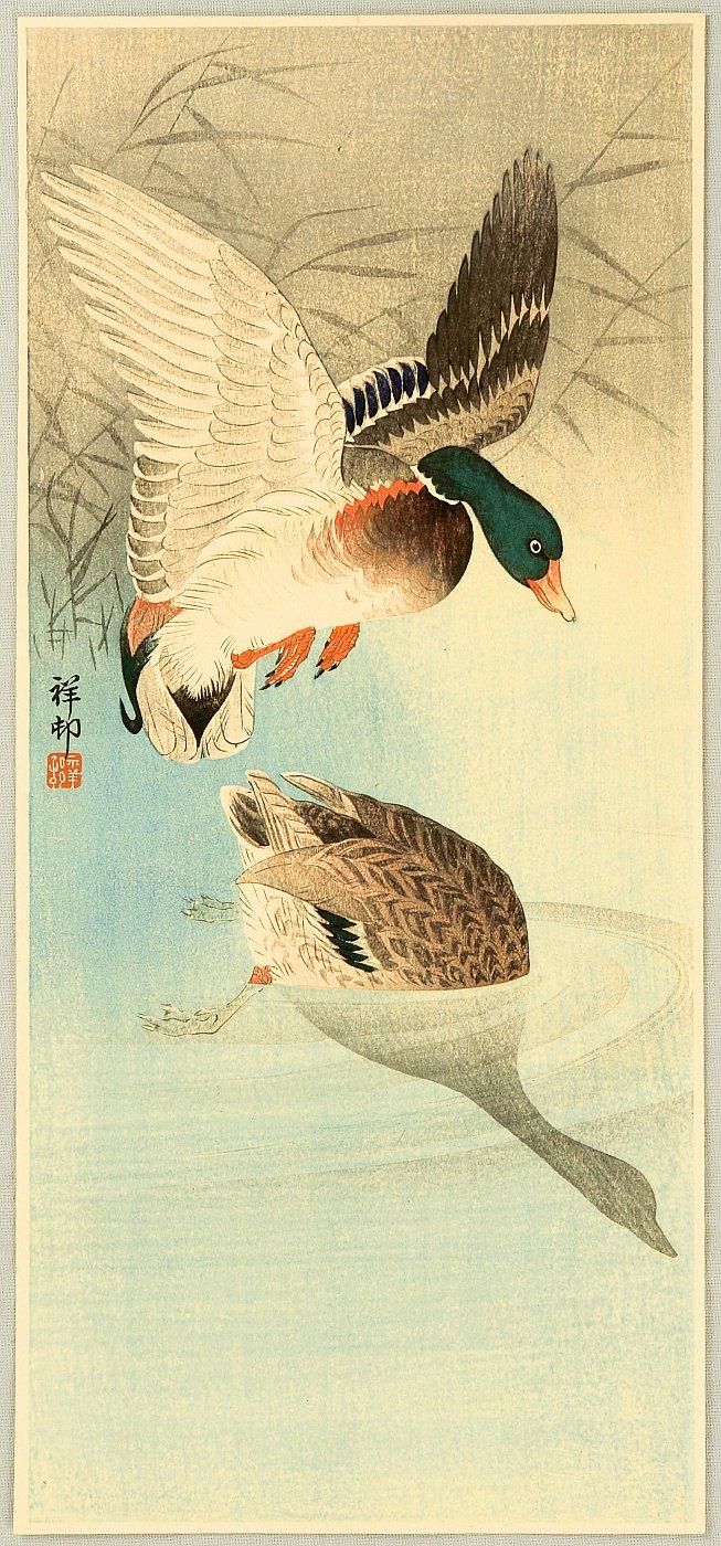 Ohara Koson - Two Mallard Ducks in a Pond