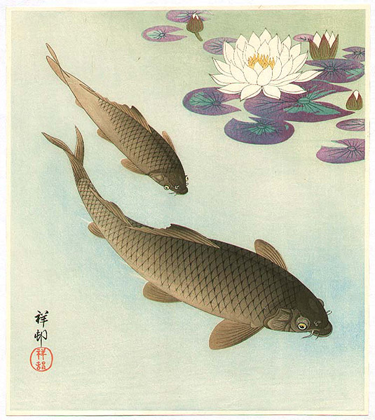 Ohara Koson - Two Carp and Water Lily Pad