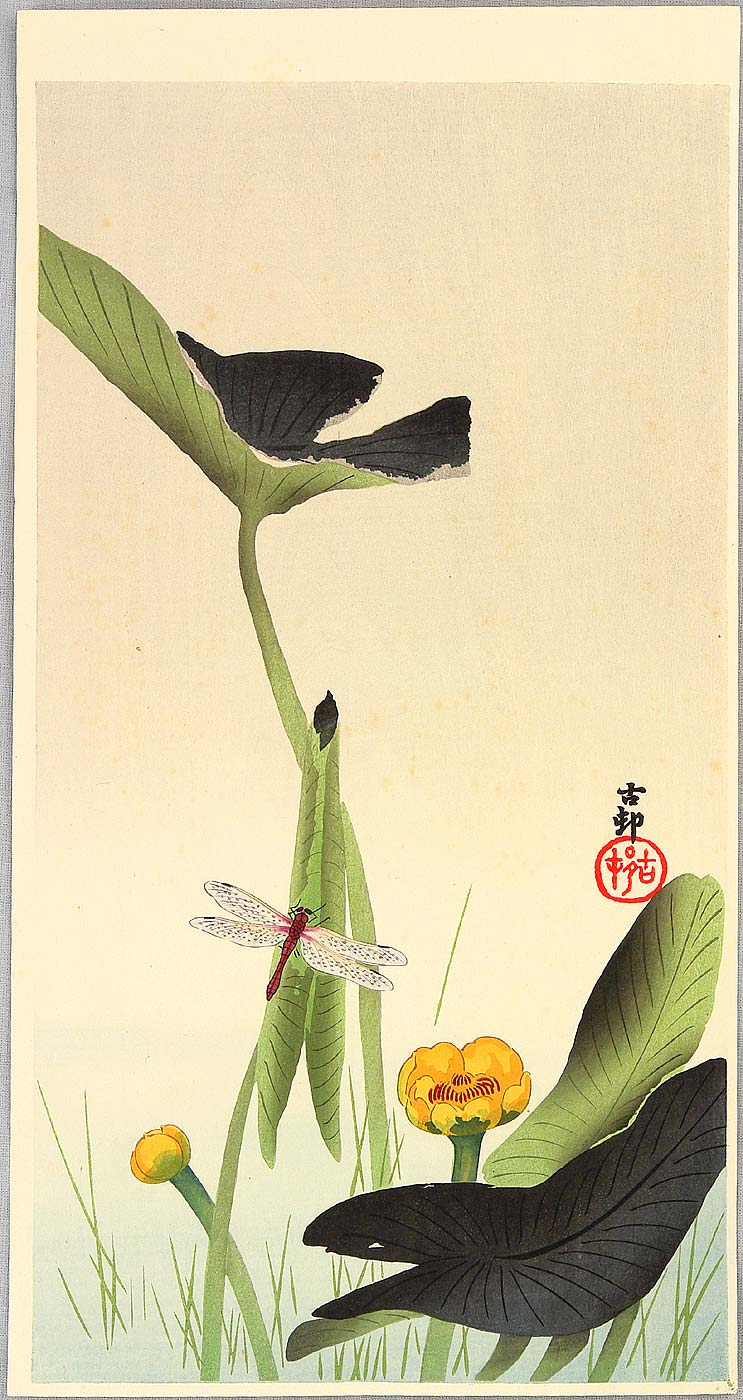 Ohara Koson - Dragonfly and Lotus