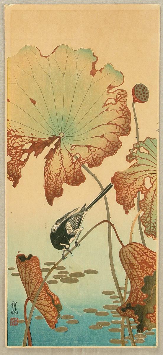 Ohara Koson - Wagtail and Lotus