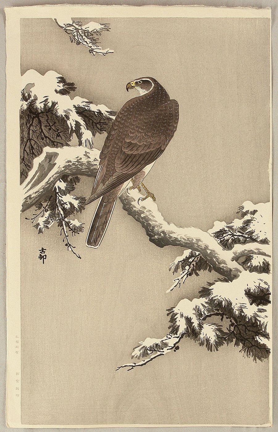 Ohara Koson - Goshawk on a Snow Covered Pine Branch