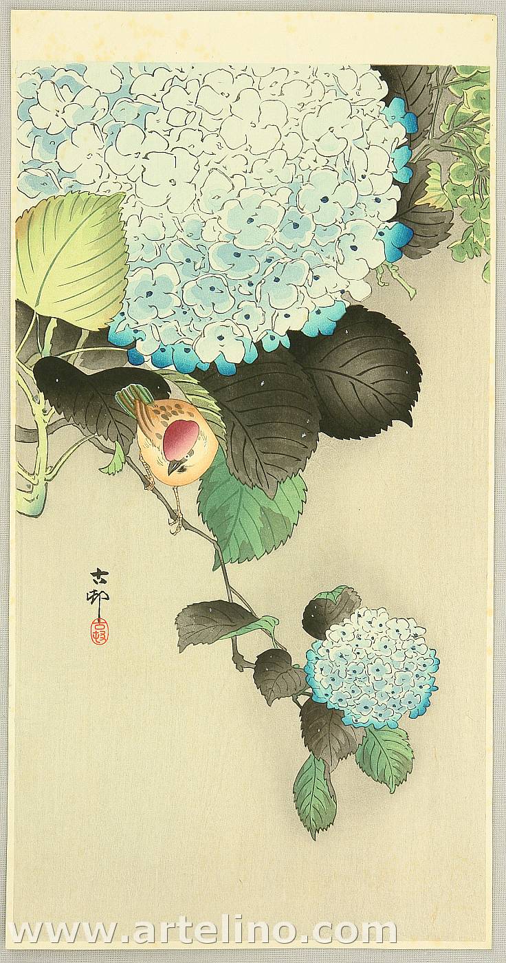 Ohara Koson - Sparrow on Hydrangea