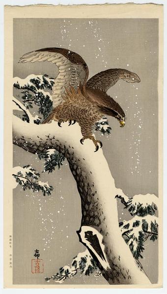 Ohara Koson - Eagle on snowy tree bough