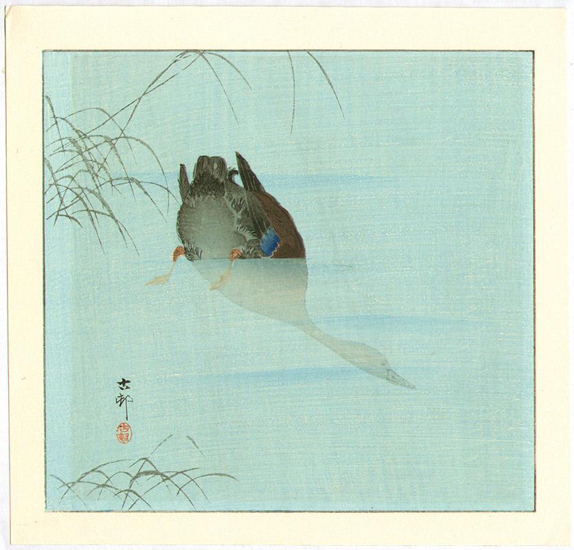 Ohara Koson - Diving Mallard (blue version)