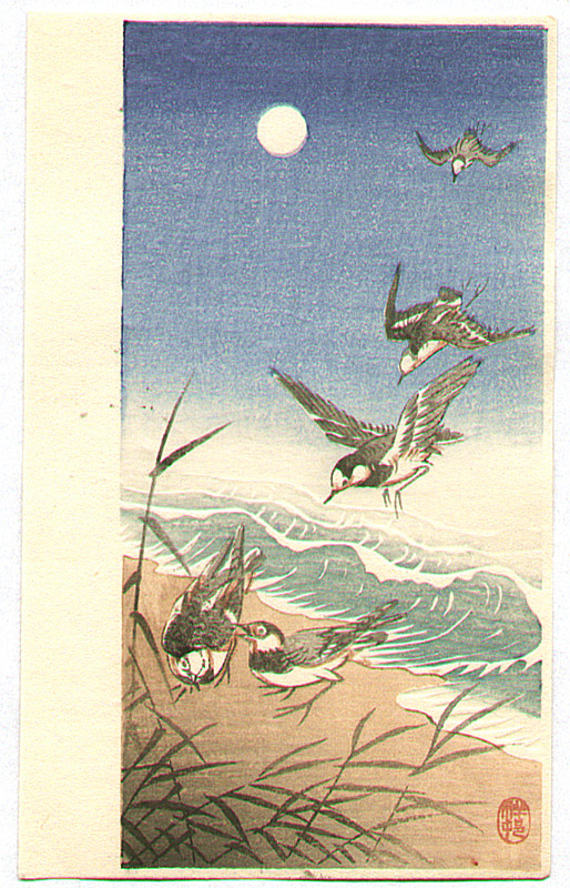 Ohara Koson - Birds Landing on a Seashore