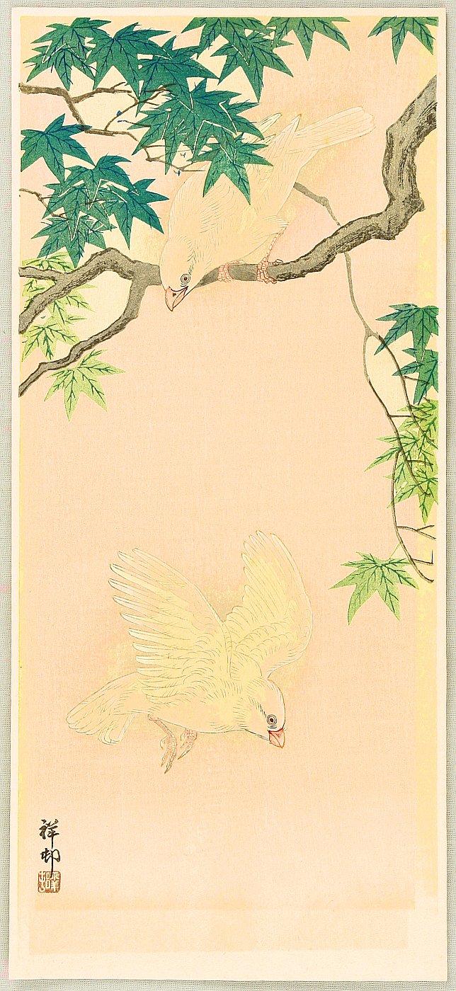 Ohara Koson - Sparrows in Maple Tree