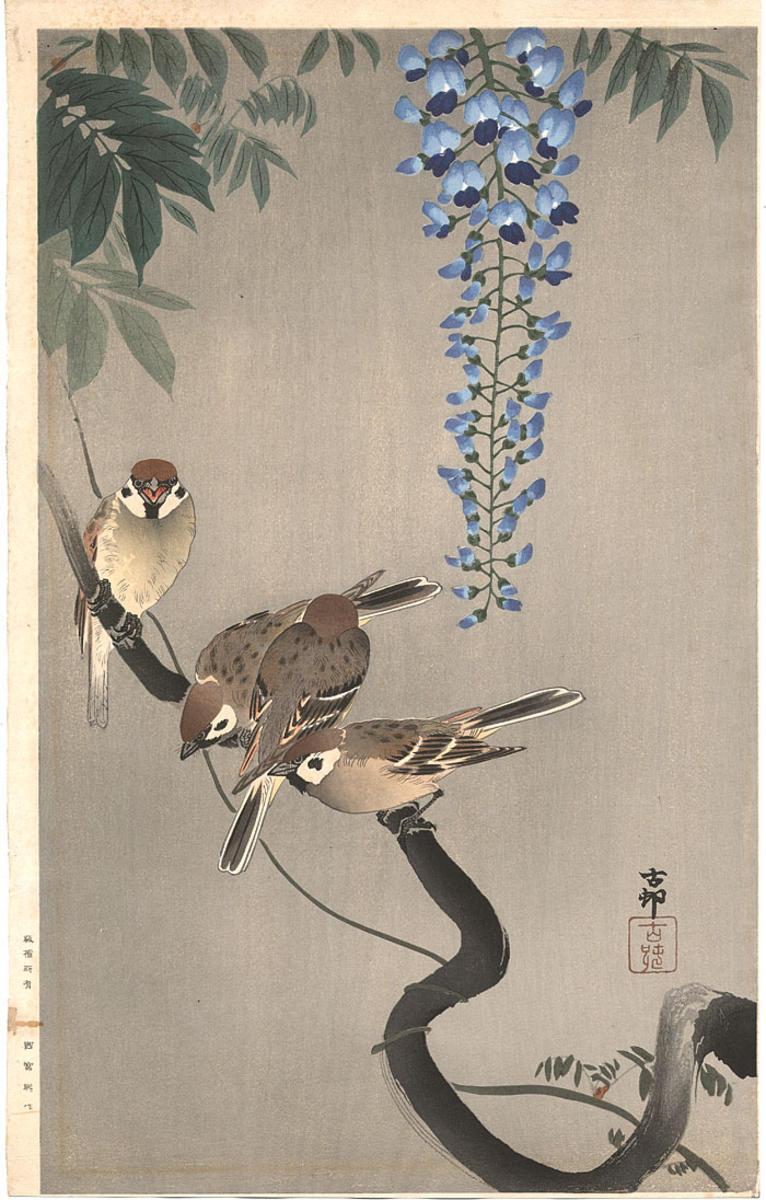 Ohara Koson - Sparrows on wisteria