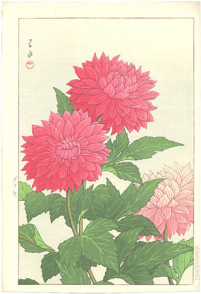 Hasui Kawase - Dahlia